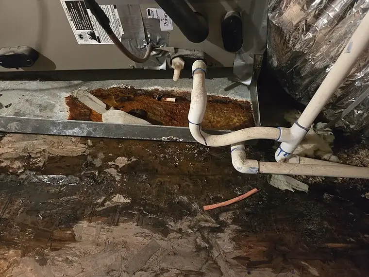 Rusted air handler drain pan and condensate line over a water-soaked platform in a Punta Gorda home