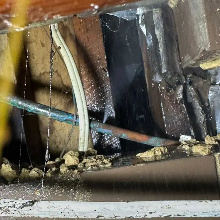 Water dripping from a leaking supply pipe inside an opened wall cavity in Punta Gorda