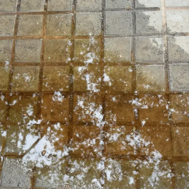 Water seeping up through tile grout lines from a slab leak in a Punta Gorda, FL home